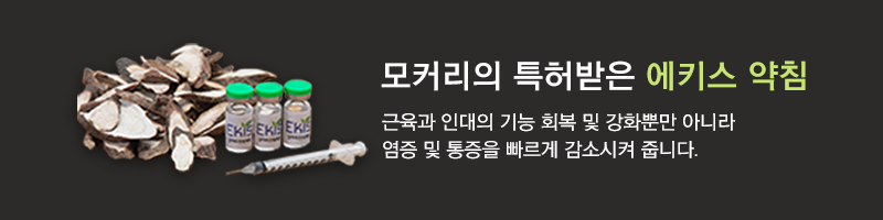 에키스 약침