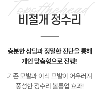 비절개 정수리