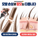 탈모 중 염색·파마 해도 될까? 두피 자극과 모발 손상 주의사항